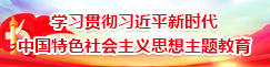学习贯彻习近平新时代中国特征社会主义思想主题教育